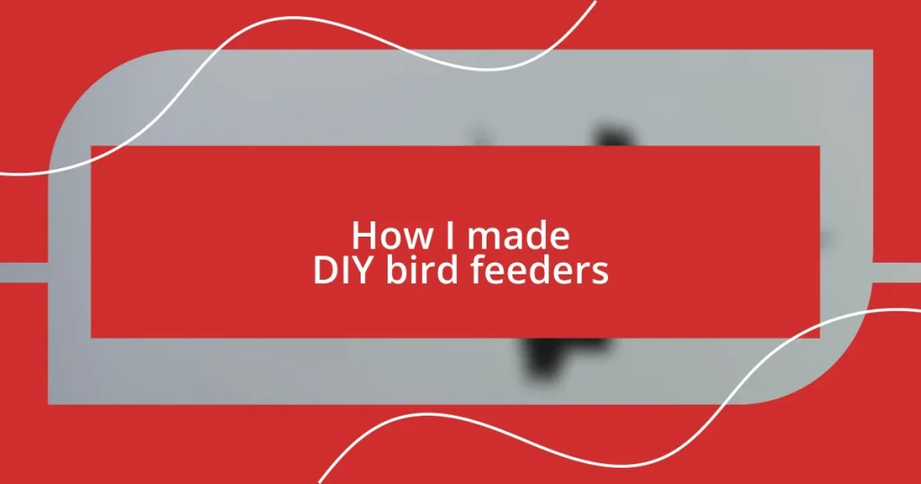 How I made DIY bird feeders