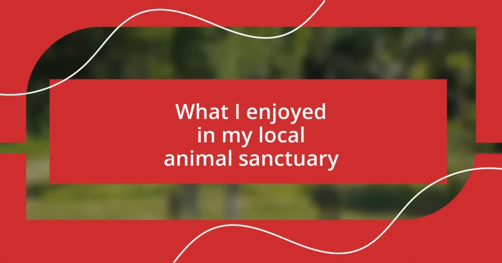 What I enjoyed in my local animal sanctuary