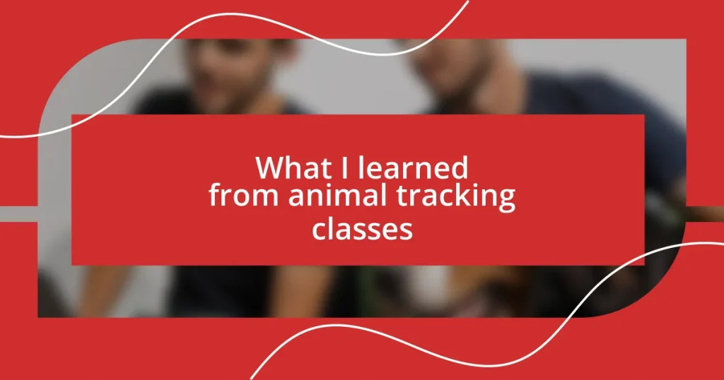 What I learned from animal tracking classes